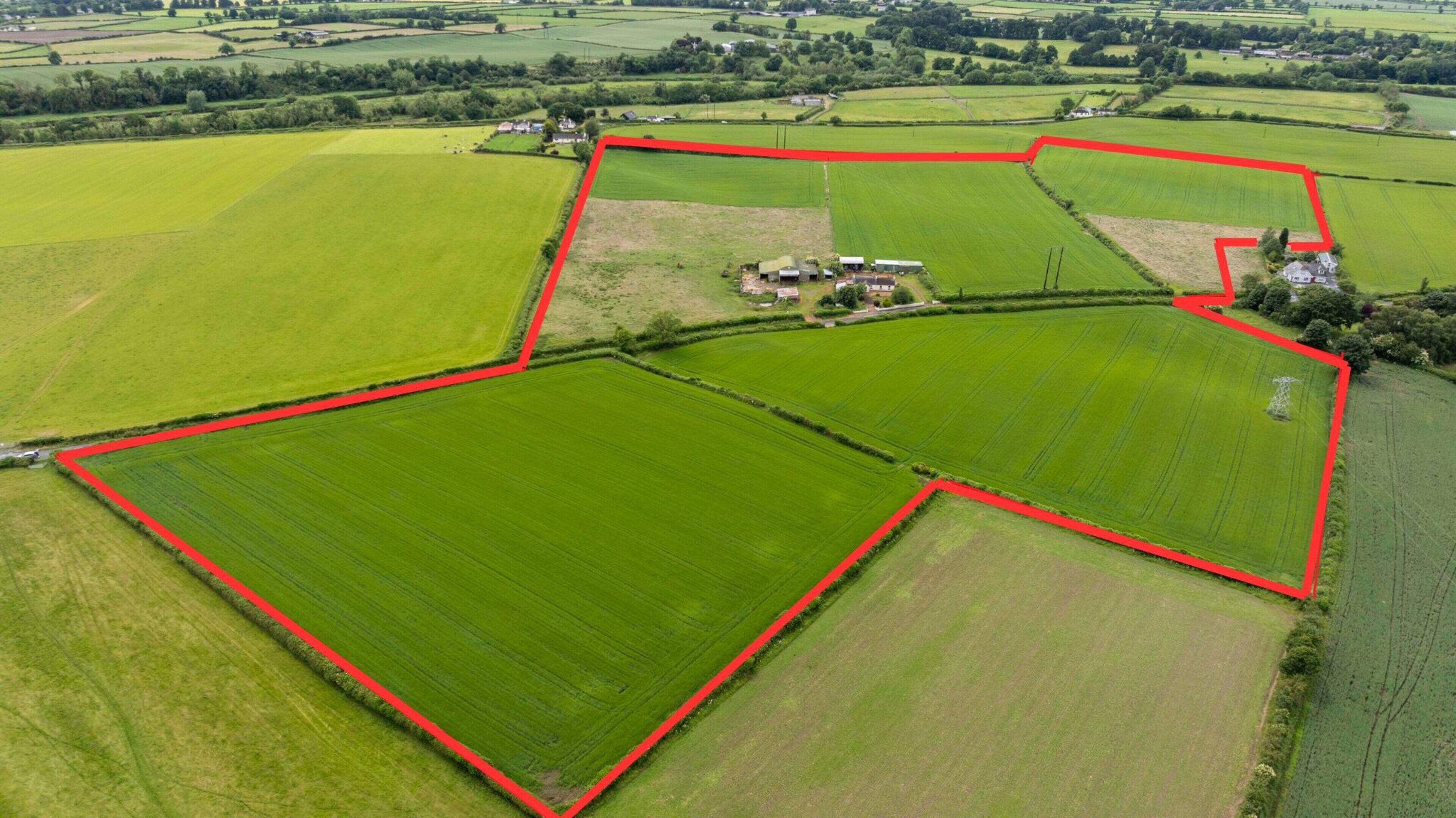 Land prices smash €30,000/ac barrier in southeast as regional gaps widen